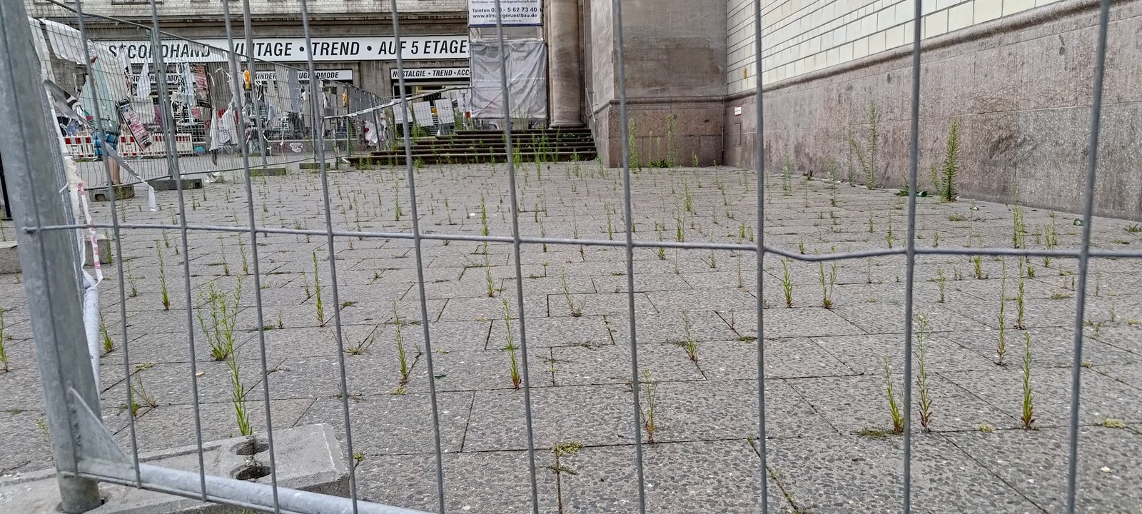 The Garden of Neglect